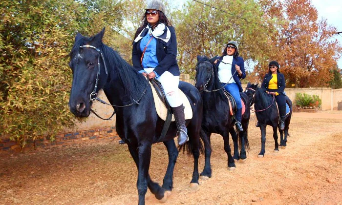 1-Hour Outride Horse Riding Experience with ESDA - Image 17