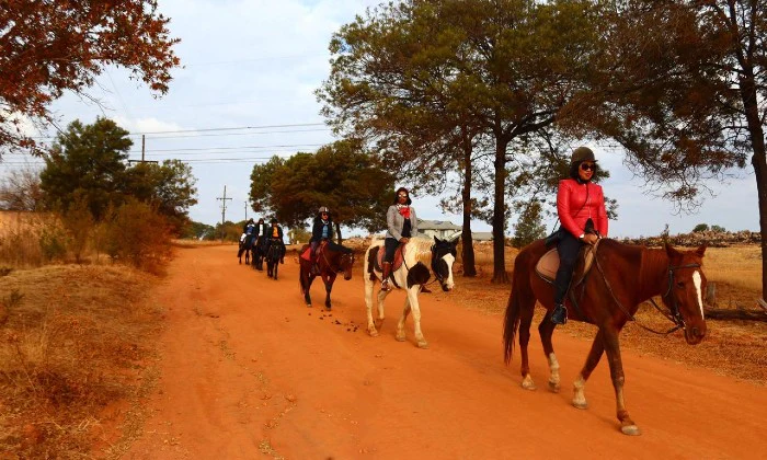 1-Hour Outride Horse Riding Experience with ESDA - Image 18