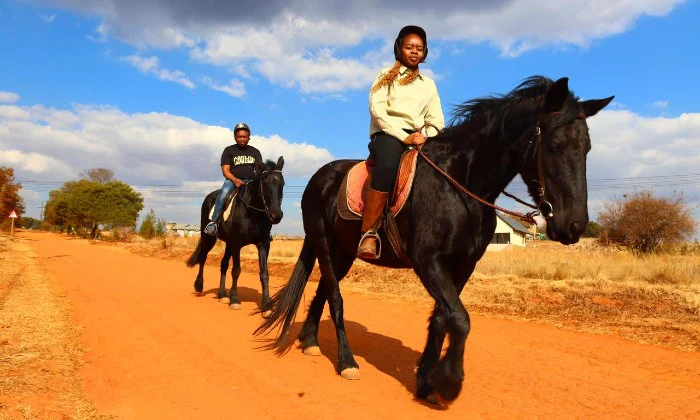 1-Hour Outride Horse Riding Experience with ESDA - Image 23