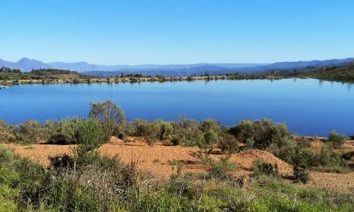 Western Cape: 1 or 2-Night anytime self-catering stay for two at Killarney Cottages - Image 6