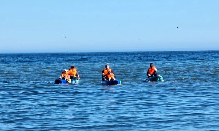 2-Hour E-Kayaking Cape Town Tour for 2 in Sea Point - Image 5