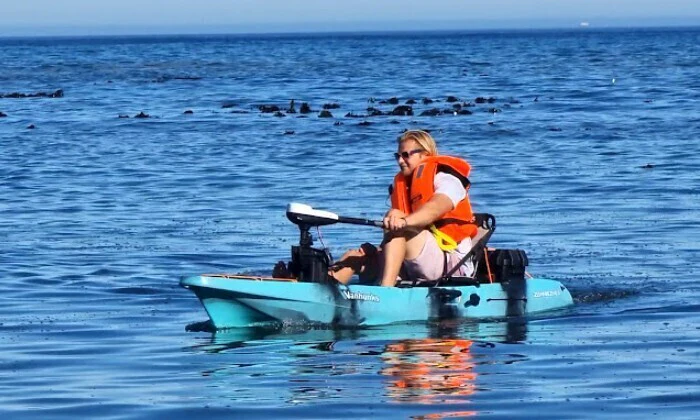 2-Hour E-Kayaking Cape Town Tour for 2 in Sea Point - Image 7