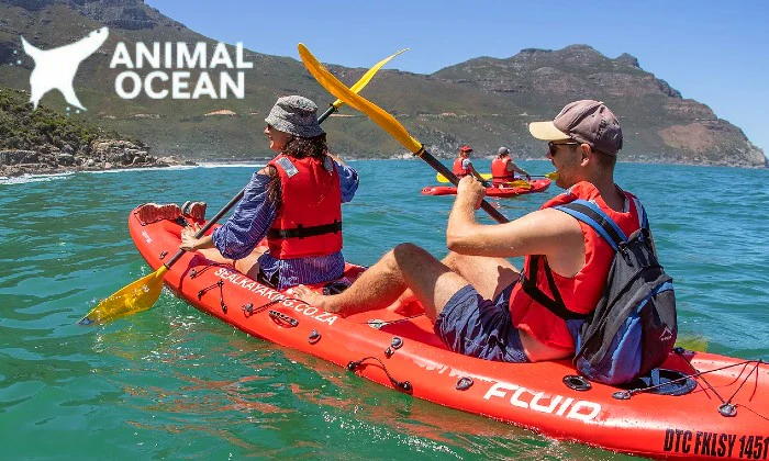2-Hour Guided Kayak Tour for 1, 2, or 4 at Animal Ocean