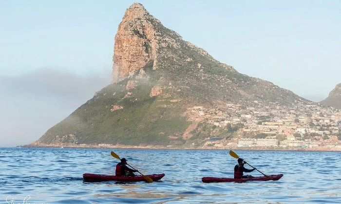 2-Hour Guided Kayak Tour for 1, 2, or 4 at Animal Ocean - Image 4