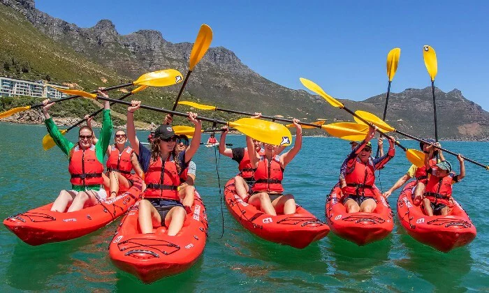2-Hour Guided Kayak Tour for 1, 2, or 4 at Animal Ocean - Image 5