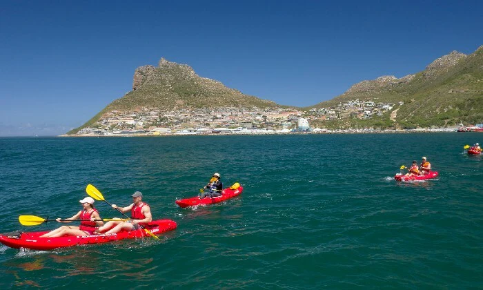 2-Hour Guided Kayak Tour for 1, 2, or 4 at Animal Ocean - Image 6
