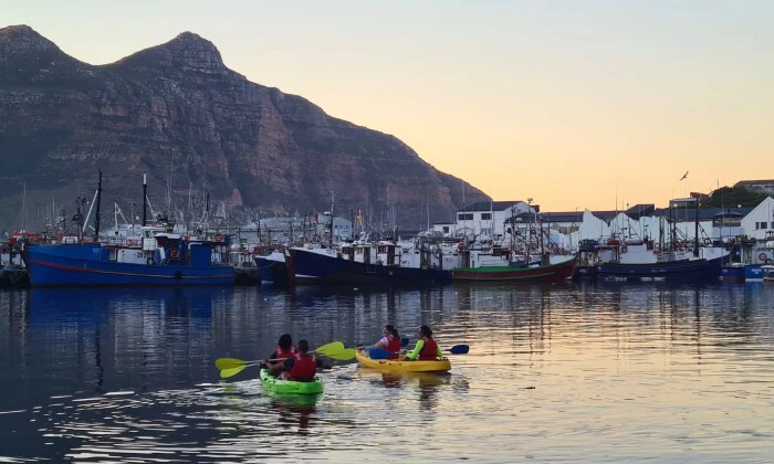 2-Hour Guided Kayak Tour for 2 - Image 2