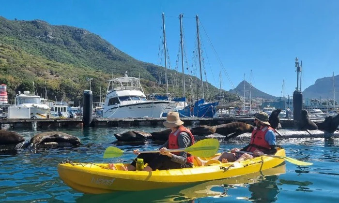 2-Hour Guided Kayak Tour for 2 - Image 5