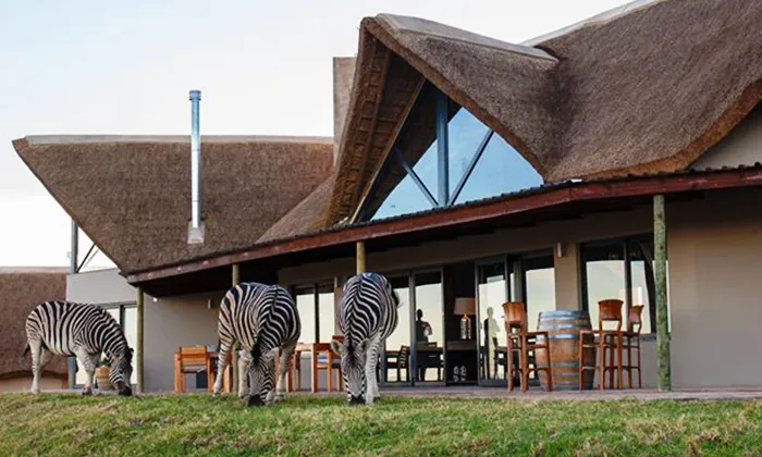 Eastern Cape: 2-Night anytime stay for two including full breakfast at Jbay Zebra Lodge - Image 12
