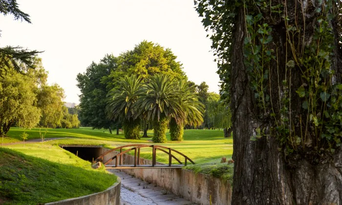 2 or 4 Ball Golf Experience at Killarney Country Club - Image 3