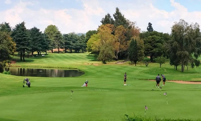 2 or 4 Ball Golf Experience at Killarney Country Club - Image 6