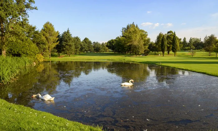 2 or 4 Ball Golf Experience at Killarney Country Club - Image 9