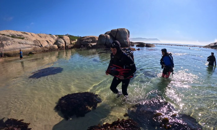 3-Hour Beginners Scuba Dive Experience at African Ocean Adventures - Image 2