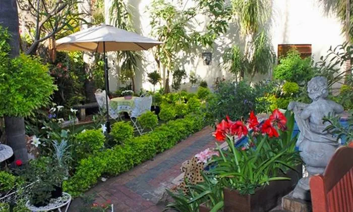 3-Hour Spa Packages at Bella Diva Day Spa - Image 3