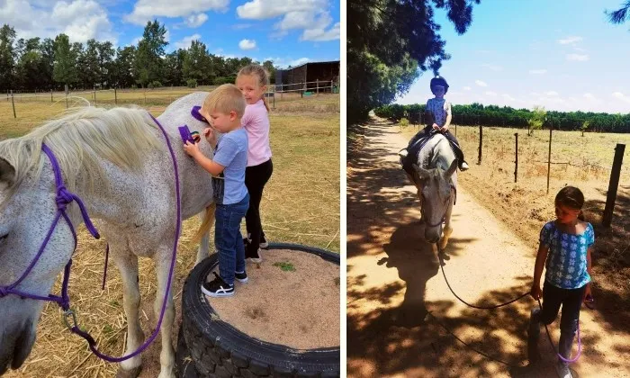 30-Minute individual horse session for 2 kids - Image 2