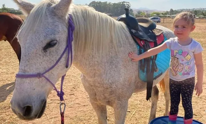 30-Minute individual horse session for 2 kids - Image 6