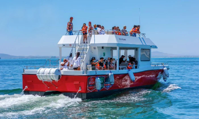 30-Minute Cape Town Harbour Cruise with Waterfront Boat Tours - Image 2