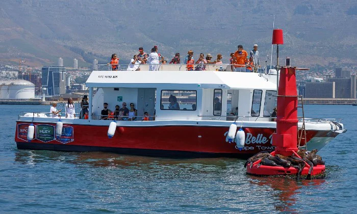 30-Minute Cape Town Harbour Cruise with Waterfront Boat Tours - Image 5