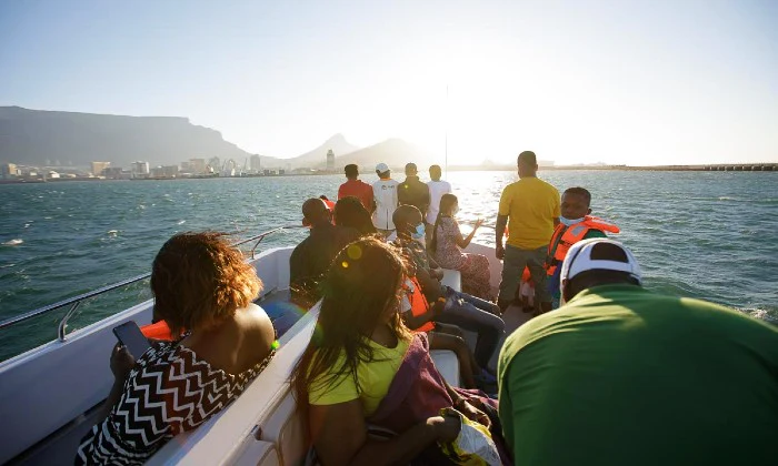 30-Minute Cape Town Harbour Cruise with Waterfront Boat Tours - Image 6