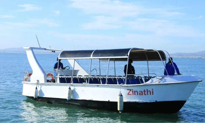 30-Minute Harbour Cruise for Family of 4 Aboard the Zinathi, V&A Waterfront - Image 3