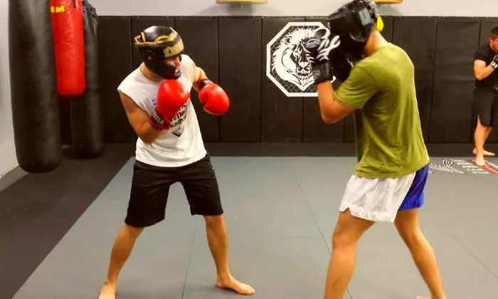 4 x MMA classes - Image 4
