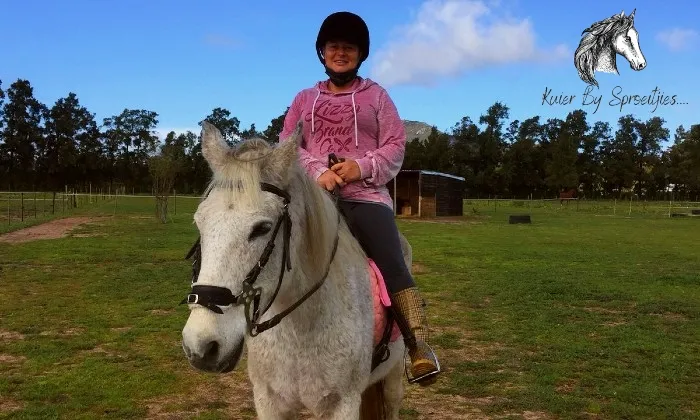 60-Minute individual horse session - Image 3