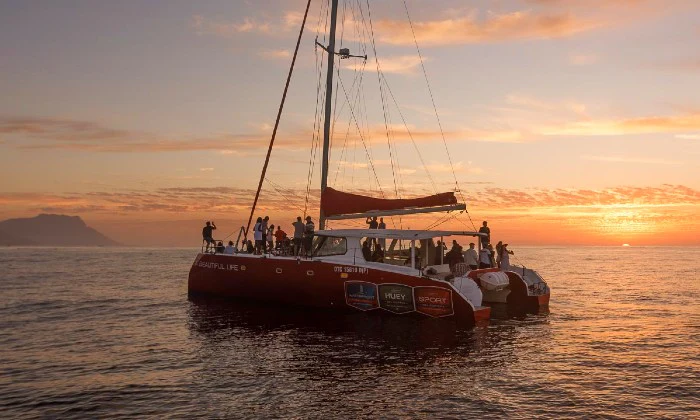 90-Minute Catamaran Champagne Sunset Cruise with Waterfront Boat Tours - Image 5