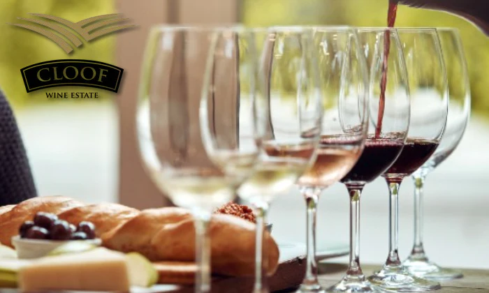 A Darling Escape: Wine Tasting Experience for 2 or 4 at Cloof Wine Estate