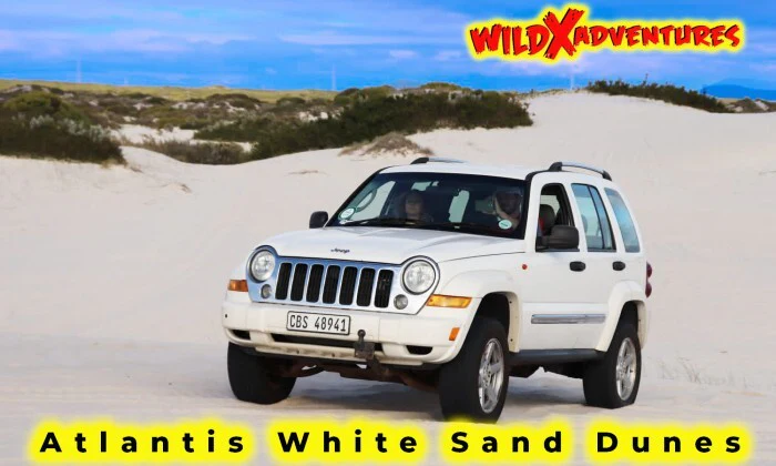Activity Combo: Jeep 4x4 Tour, Quad Biking & Glam Sandboarding for 1, 2, 4 or 6 - Image 2