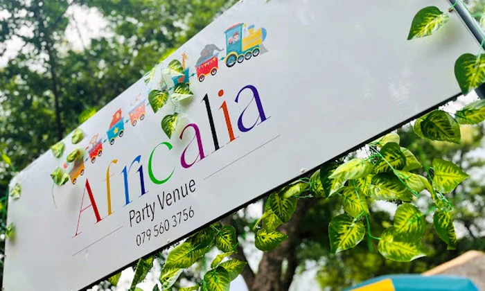 Africalia Kids Party Venue Hire for up to 25 Kids - Image 10