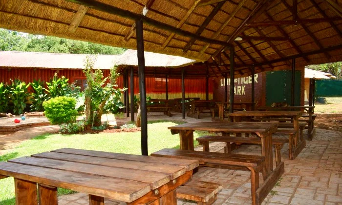 Africalia Kids Party Venue Hire for up to 25 Kids - Image 6
