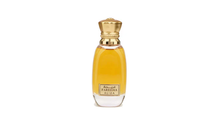 Aliza Fareeha Edp 100 ml Unisex - Inspired by Louis Vuitton Ombre Nomade - Image 2