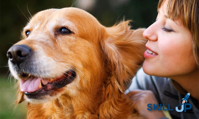 Animal Nutrition