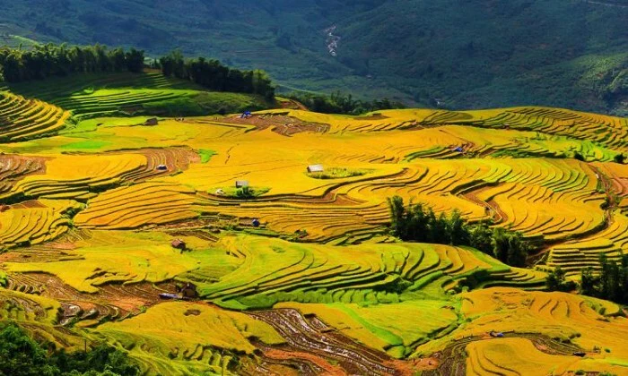 Asia: 12-Day North to South Vietnam Tour - Image 4