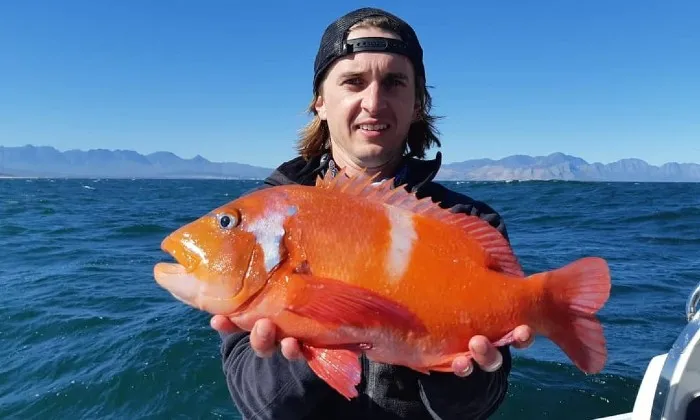 Cape Point deep sea fishing experience - Image 5