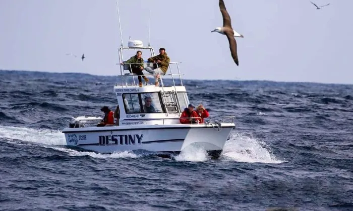 Cape Point deep sea fishing experience - Image 6