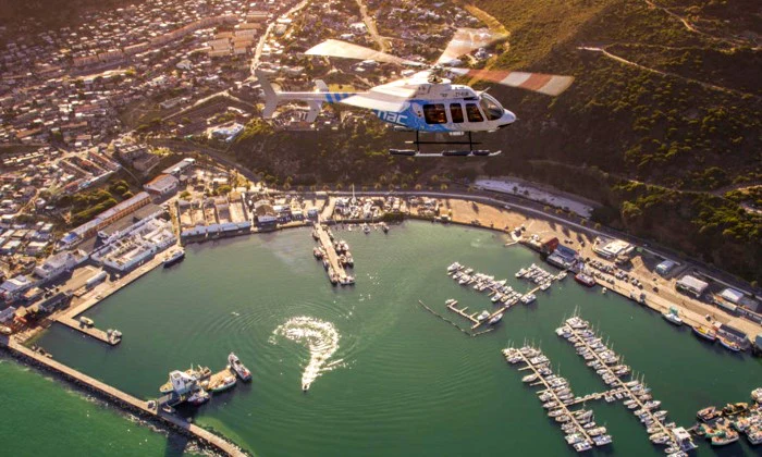 Cape Town: Chapmans "Peek" Helicopter Flight & Champagne - Image 7