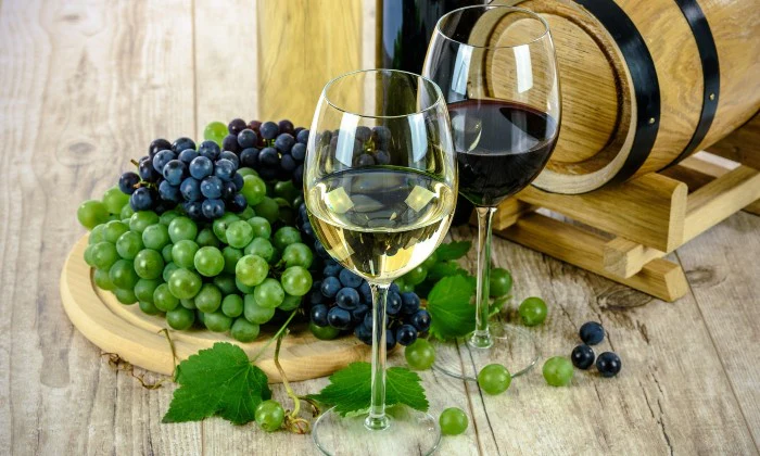 Couples Spa Experience with Picnic & Wine Tasting at Lourensford Wine Estate - Image 2