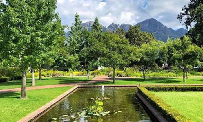 Couples Spa Experience with Picnic & Wine Tasting at Lourensford Wine Estate - Image 5