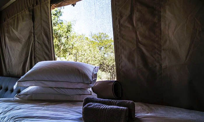 Dinokeng Big 5 Game Reserve: 2-Night stay for 2 including self game drive at Halfway There Game Lodge - Image 10