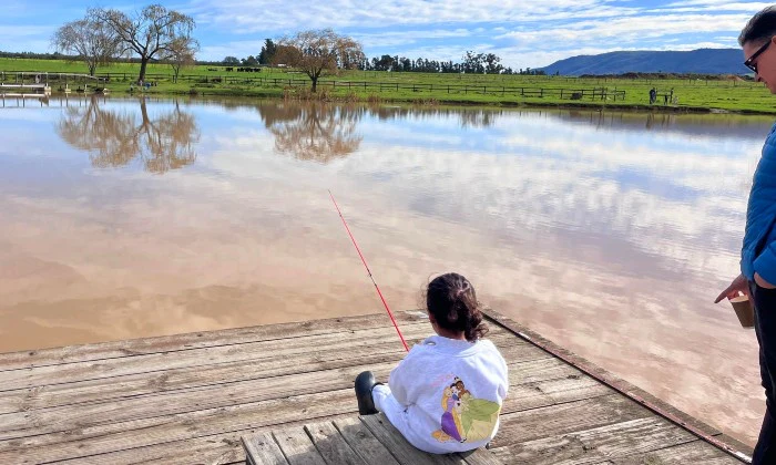 Entry Ticket for 2 or 4 – Croc Pond & Snake Centre + Bottle of Van Loveren - Image 10