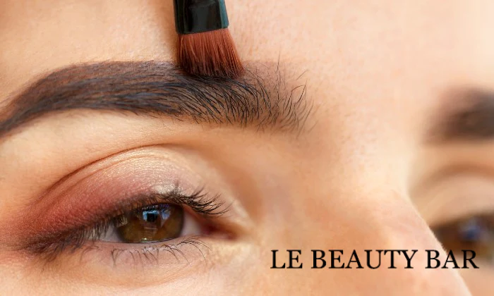 First-Session Powder Brows-Microshading