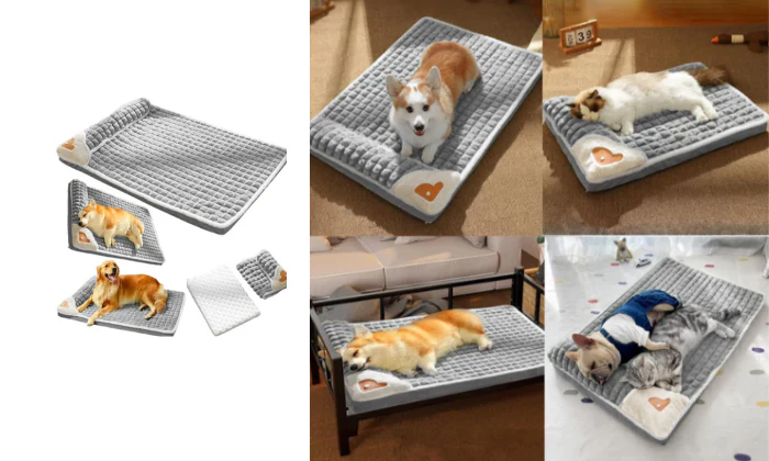 Four-Seasons Dog Mat - Grey - Rex - Image 2
