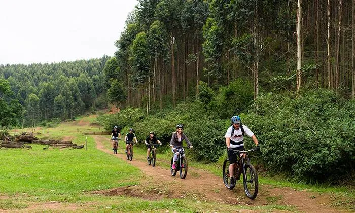 Full Mountain Biking Experience with MTB Xperience - Image 4