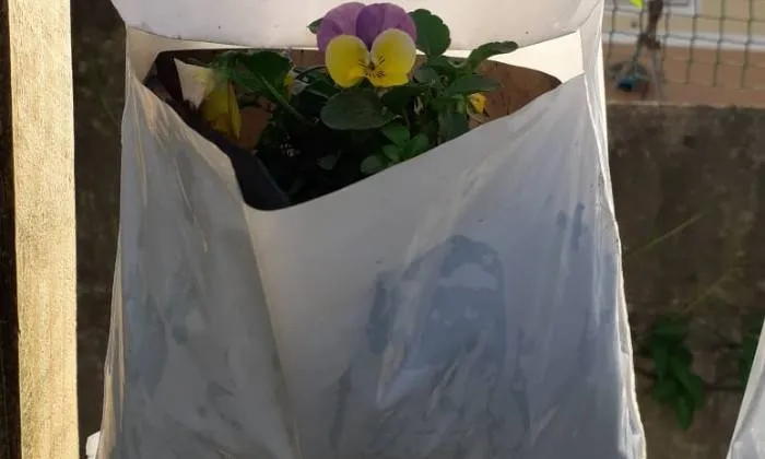 Grow your Own Vertical Veg Patch at Home with Agri Urb Grow Kits - Image 6