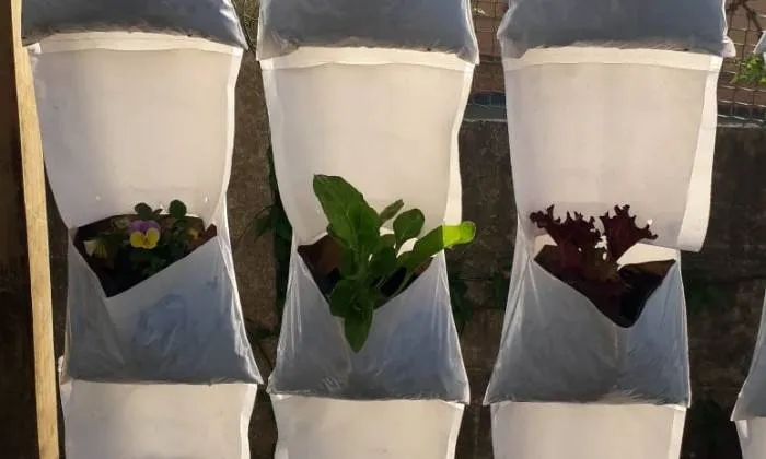 Grow your Own Vertical Veg Patch at Home with Agri Urb Grow Kits - Image 8