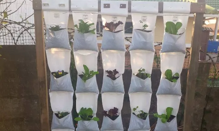 Grow your Own Vertical Veg Patch at Home with Agri Urb Grow Kits - Image 9