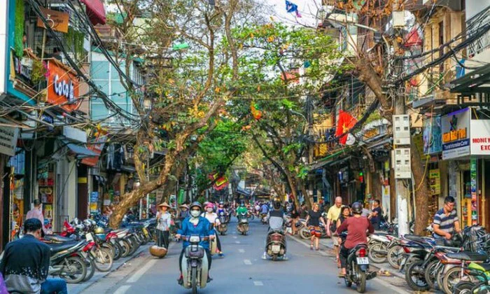 Asia: 11-Day Vietnam Getaway Tour with Accommodation, Cruise, Internal Flights, Transfers, Meals & Tours - Image 7