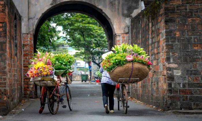 Asia: 11-Day Vietnam Getaway Tour with Accommodation, Cruise, Internal Flights, Transfers, Meals & Tours - Image 8