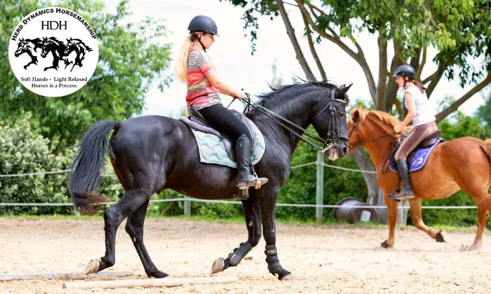 Horse riding lesson